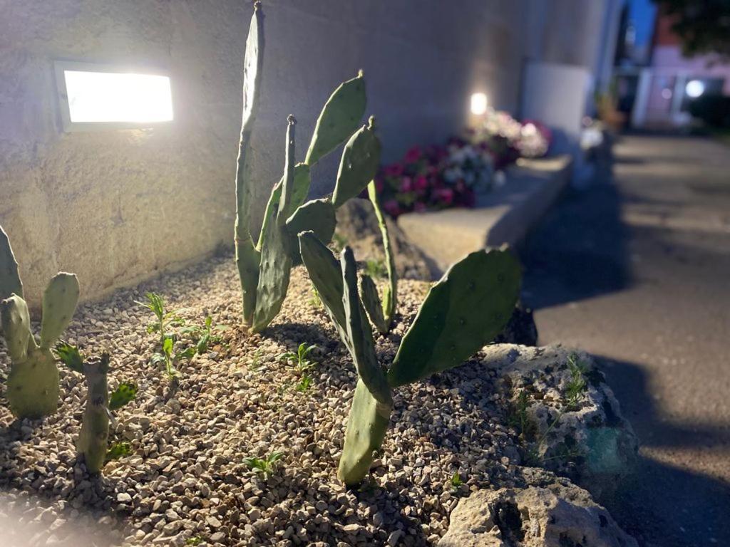 Viro House Bed & Breakfast Squinzano Exterior foto